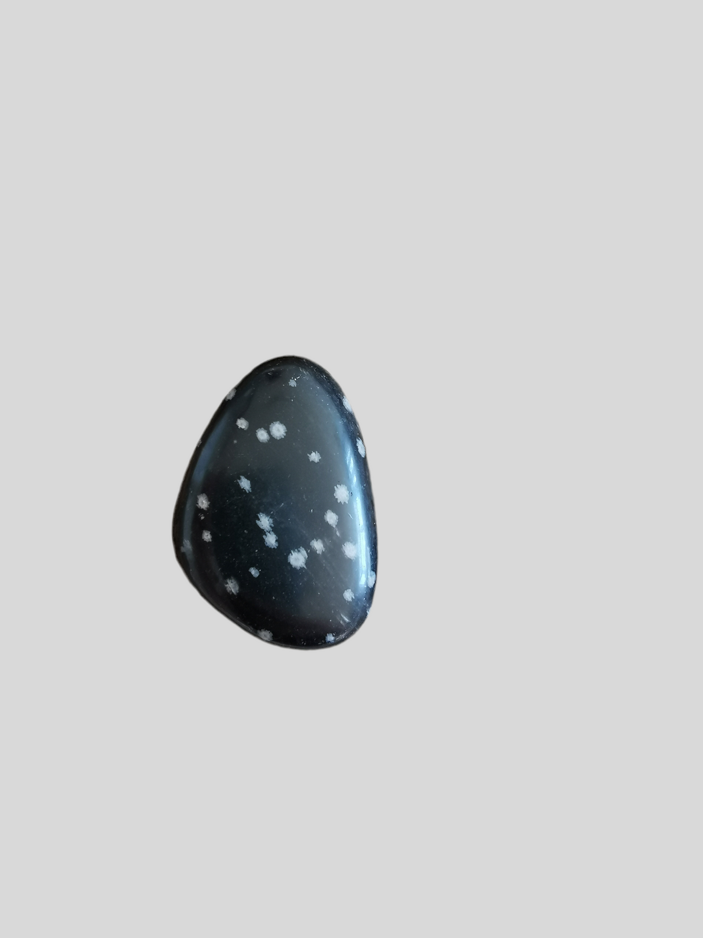 Obsidian Snefnug