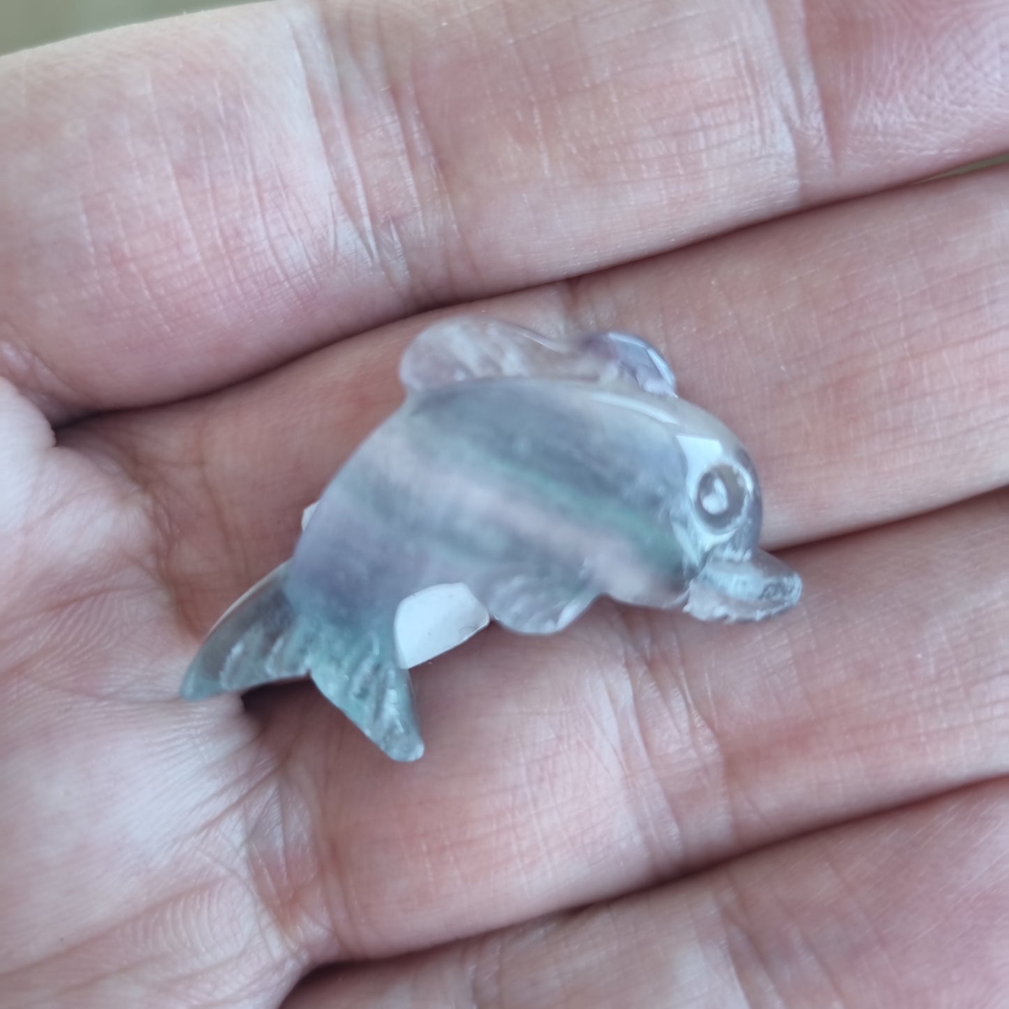 Delfin Fluorit regnbue