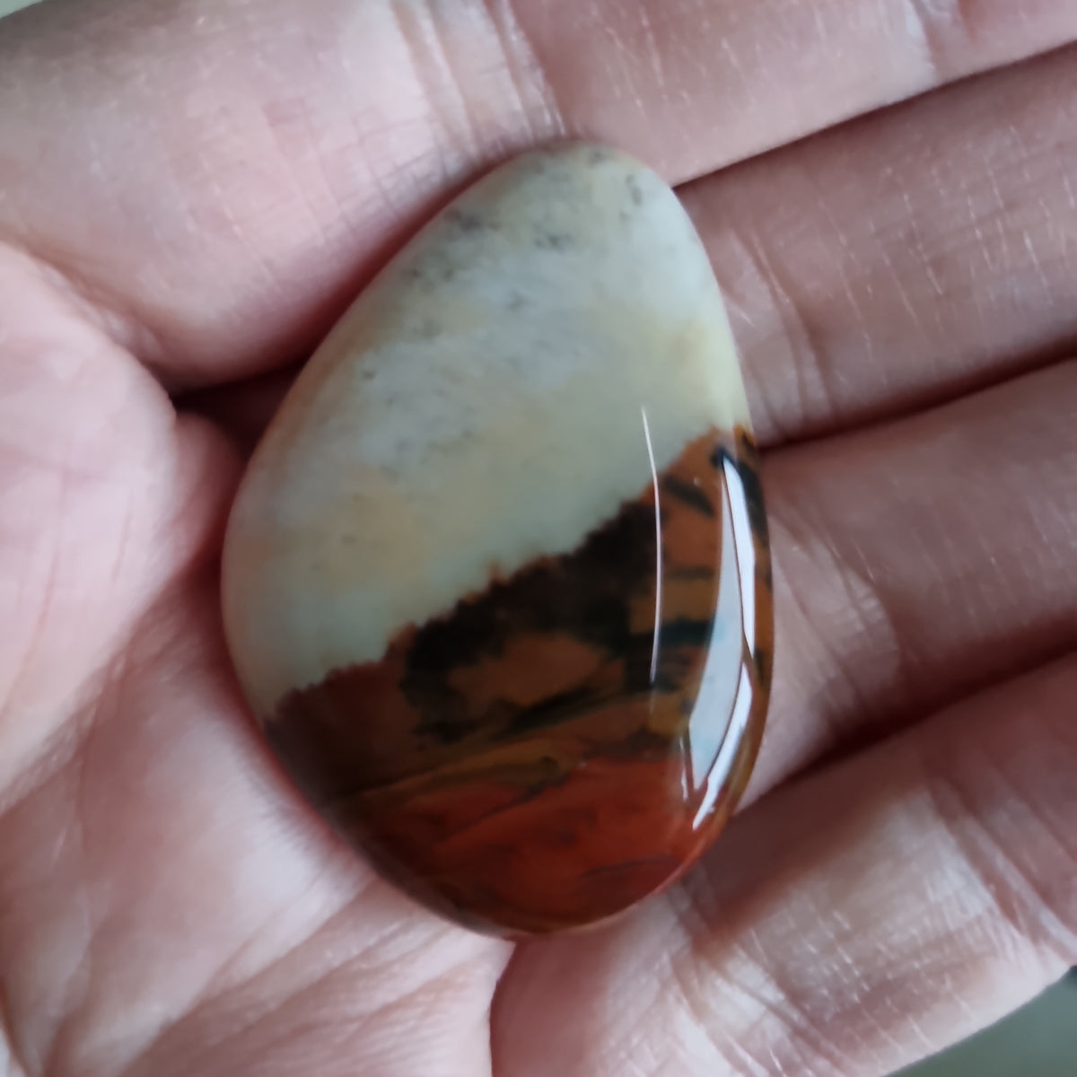 Obsidian Mahogni