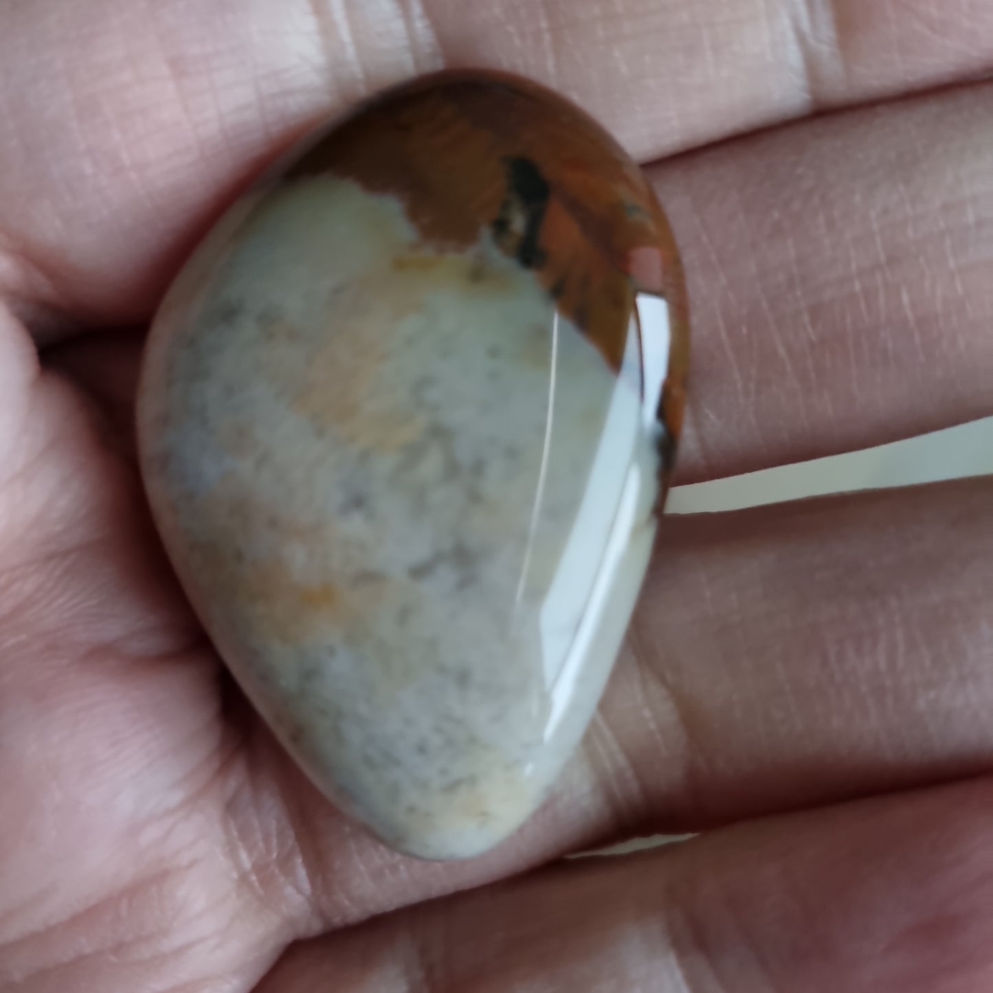Obsidian Mahogni