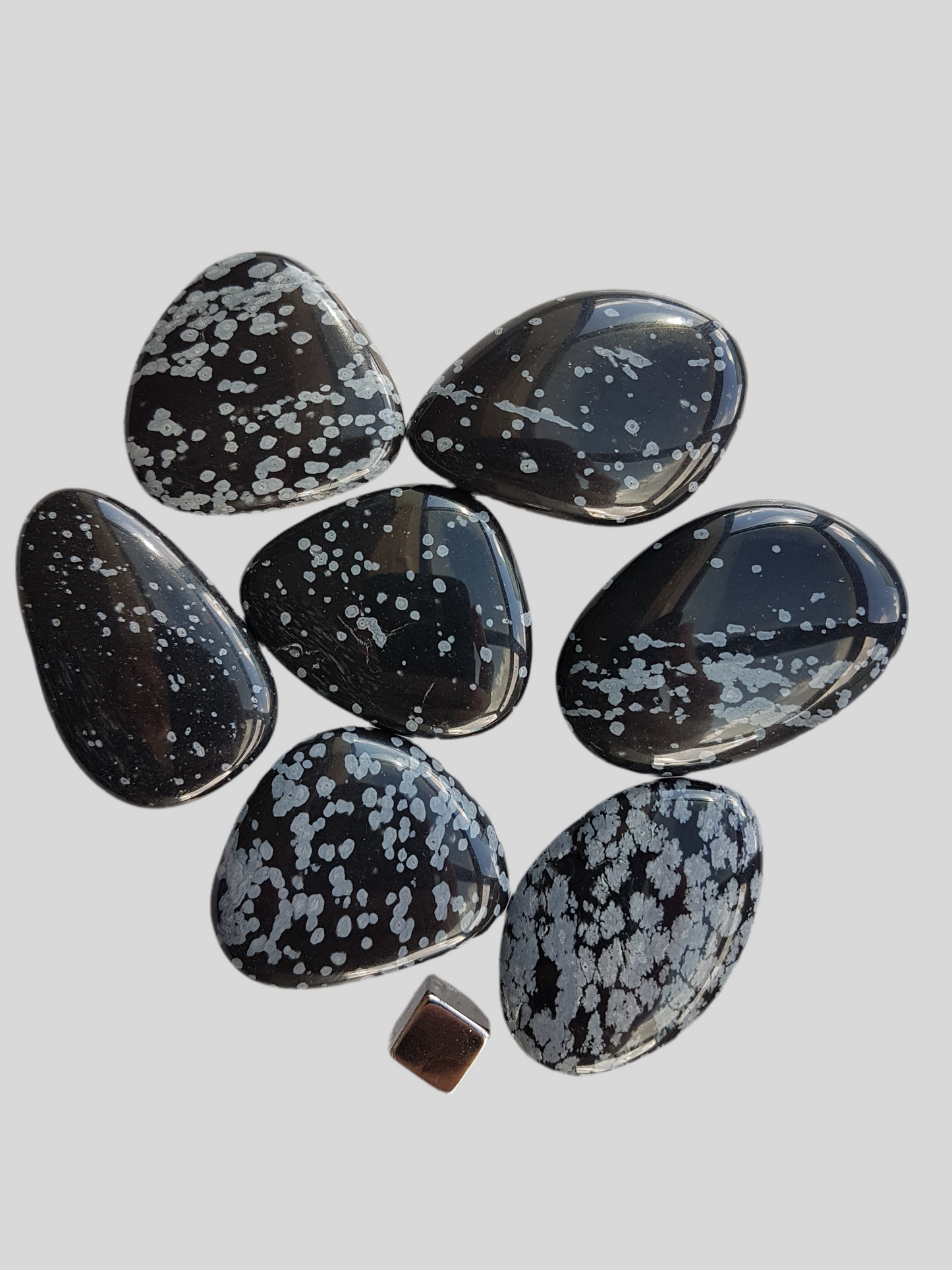 Obsidian Snefnug