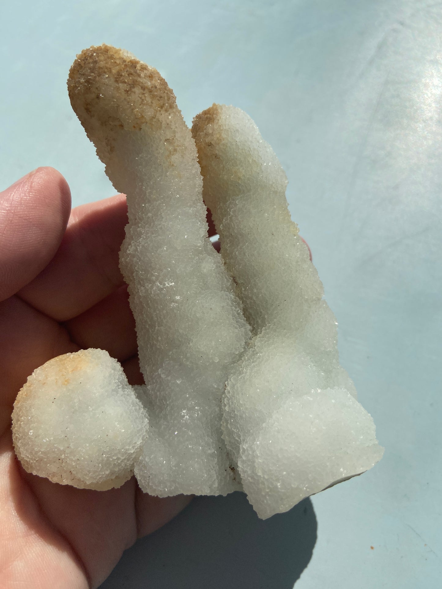 Kaktus Spirit kvarts