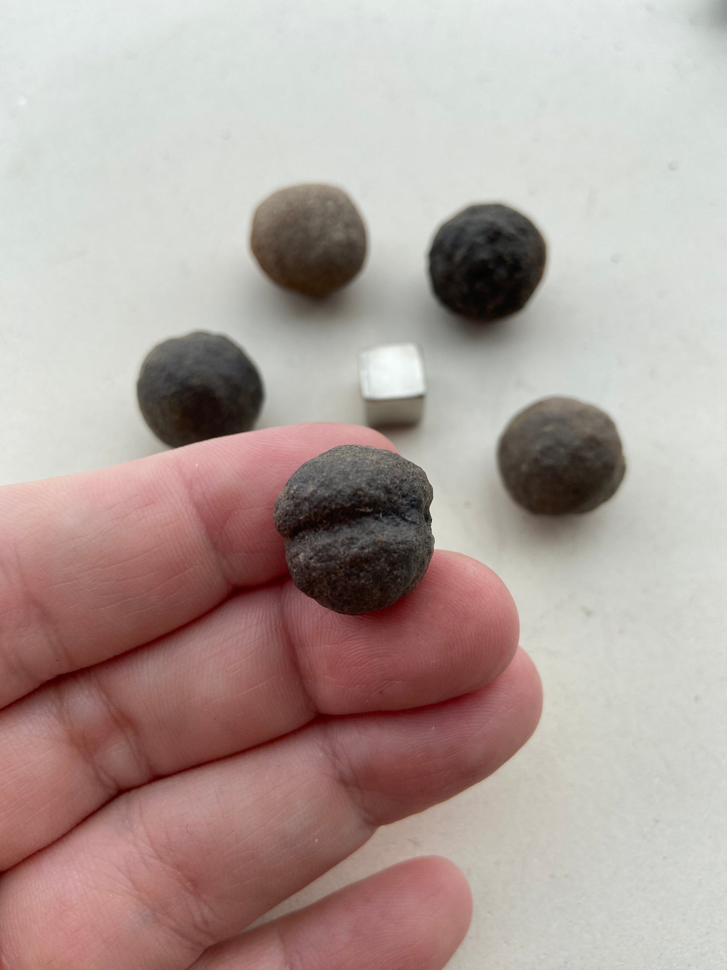 Moqui Balls str. mellem