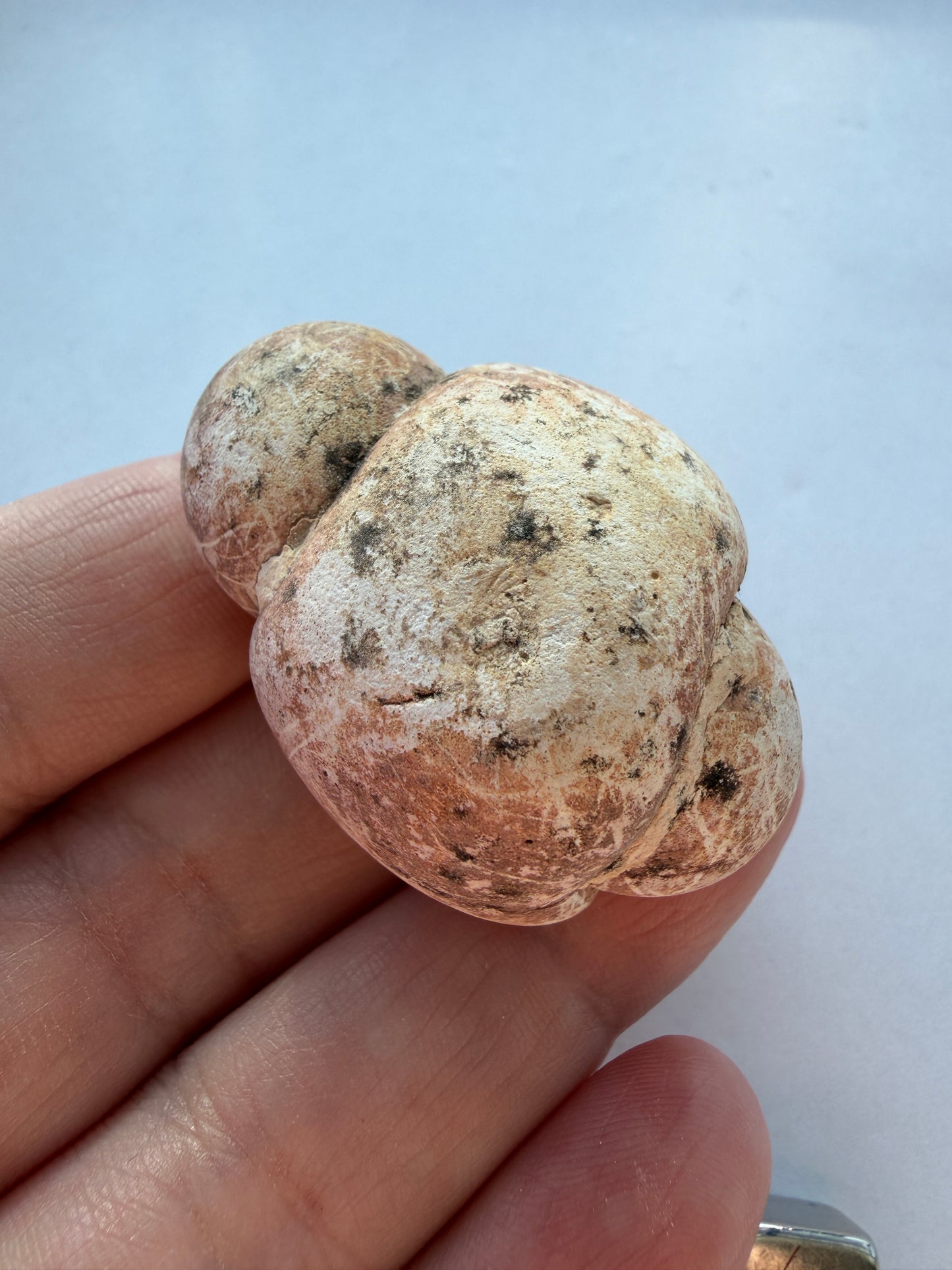 Gogotte/Sandstone