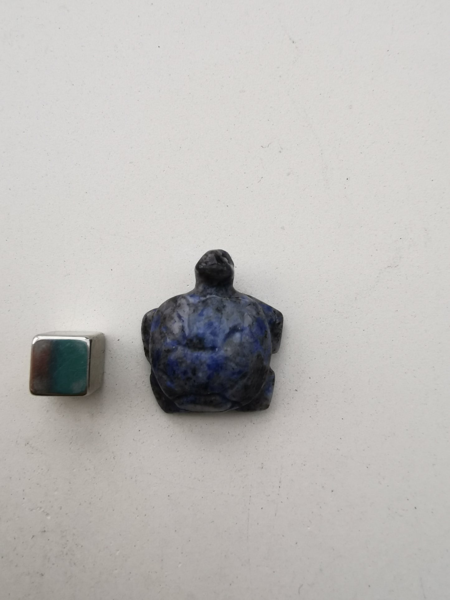 Lapis Lazuli skildpadde