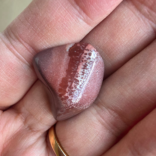 Jaspis Mimbres