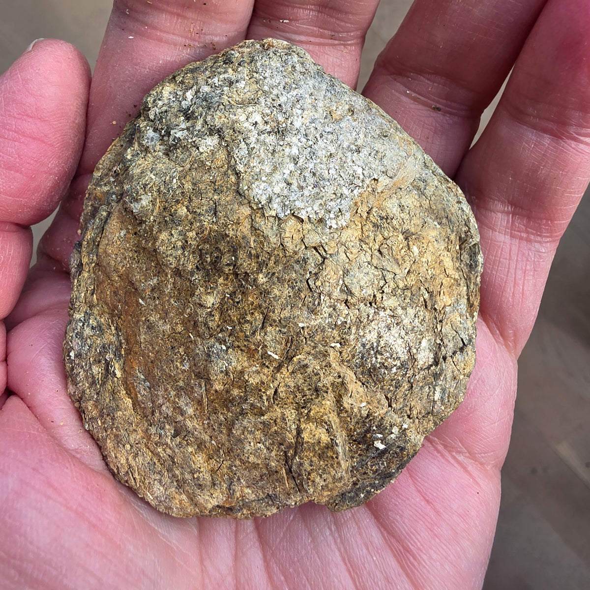 Biotit Linse 129 gram