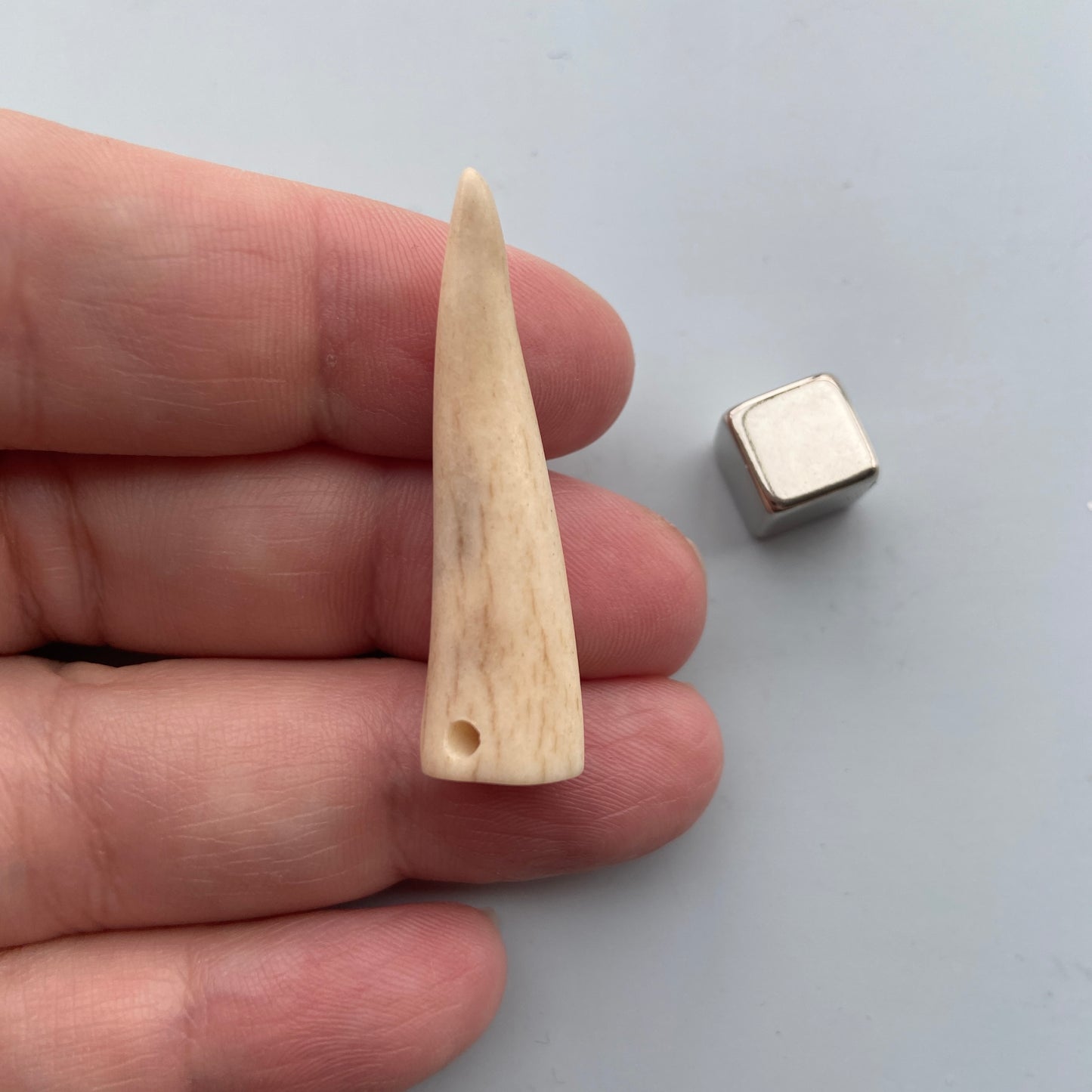 Hjortetak – bærer maskulin energi, beslutsomhed og handlekraft.