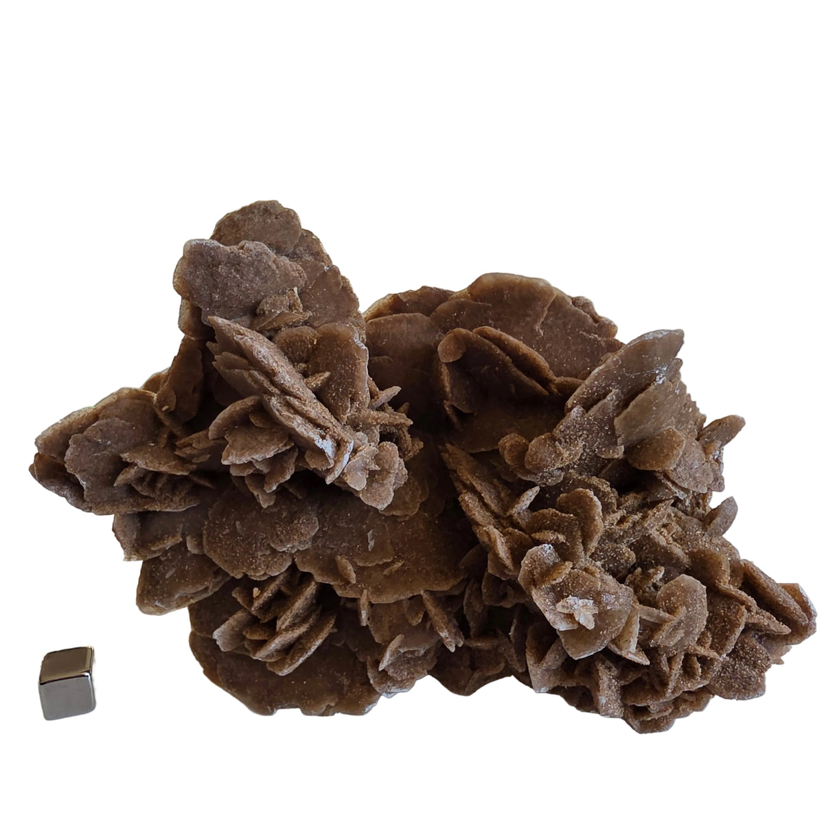 Sandrose 464 gram