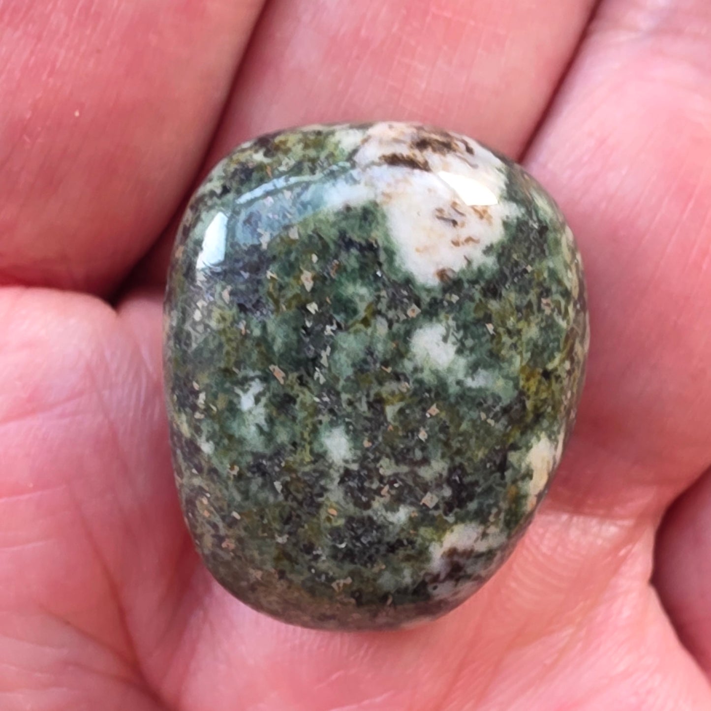 Preseli Bluestone lommesten