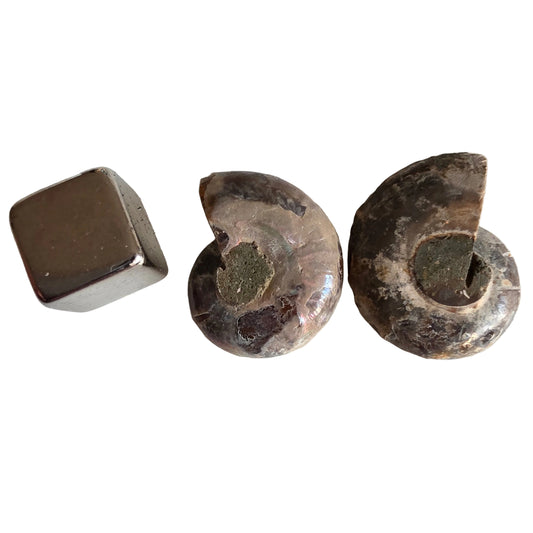 Ammonit opal 2 stk