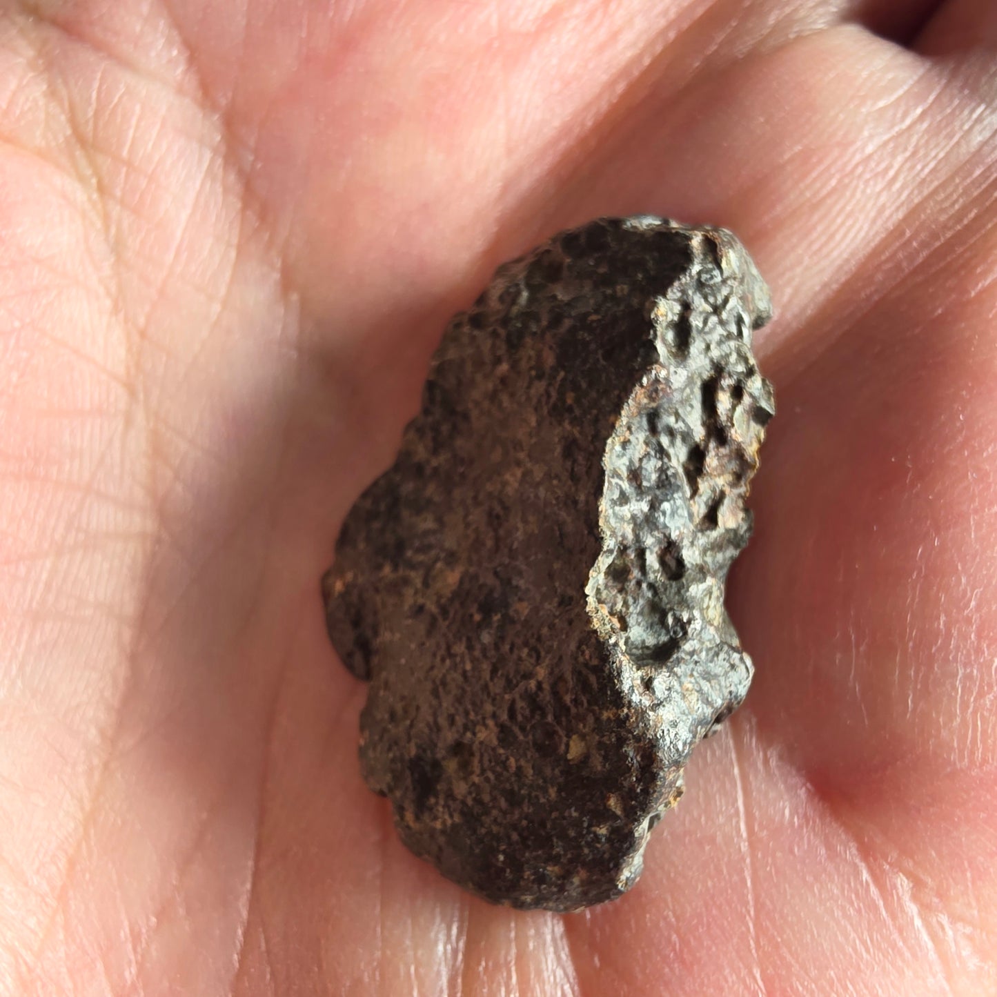 Meteorit