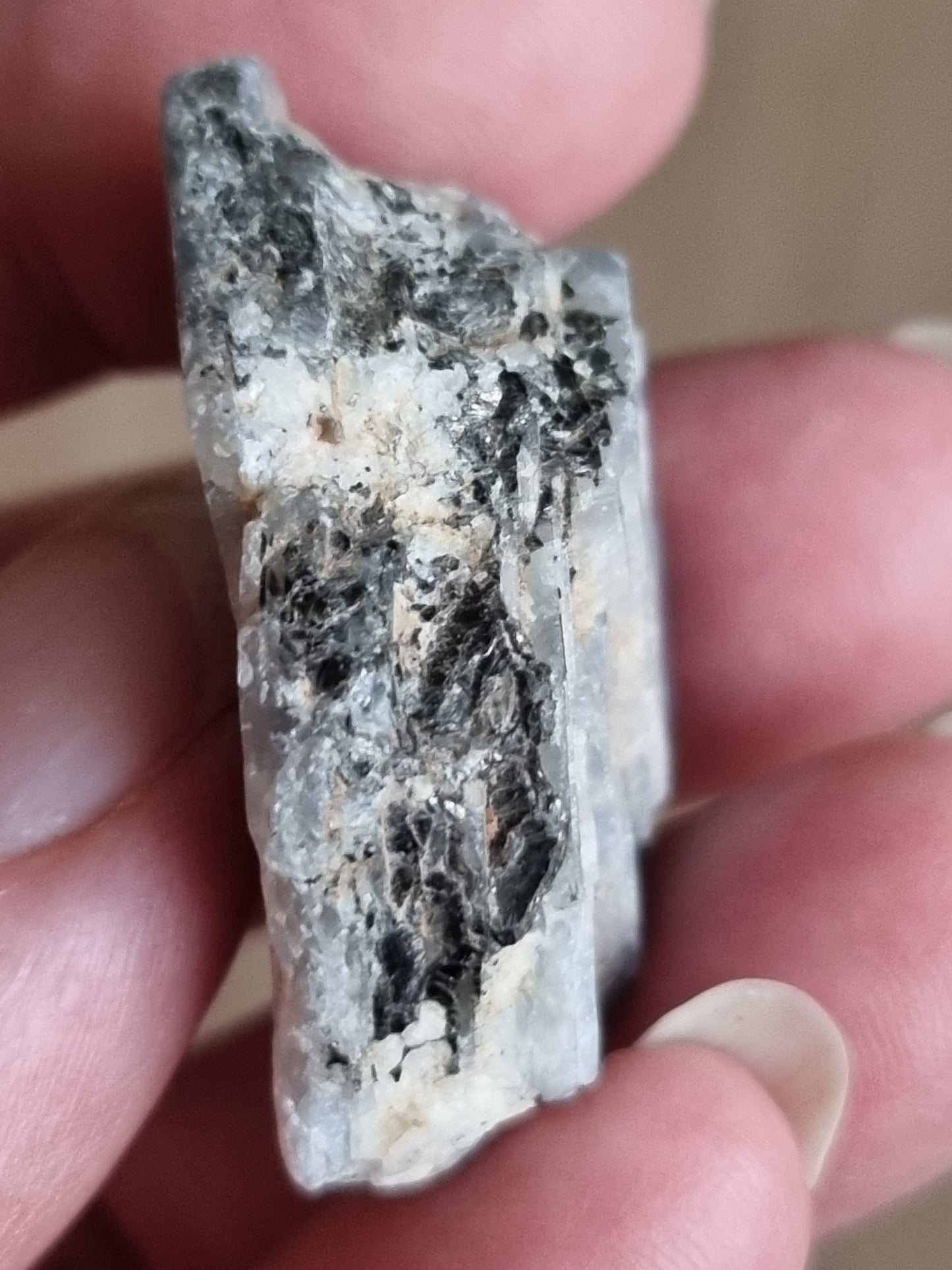 Safir m/Mica rå