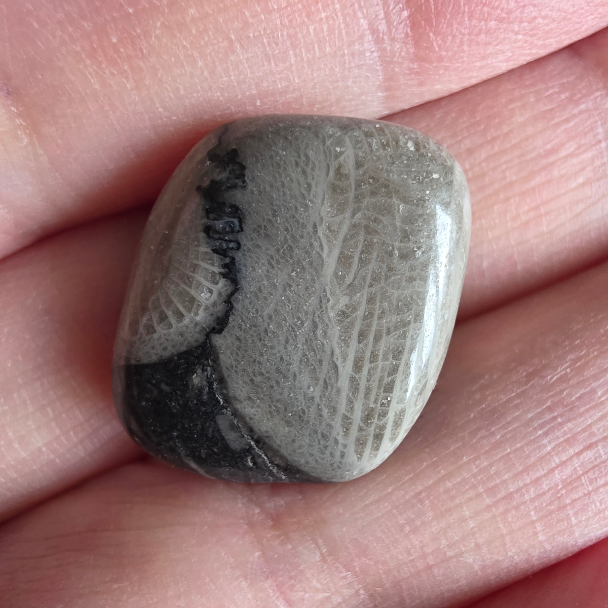 Frosterley marble
