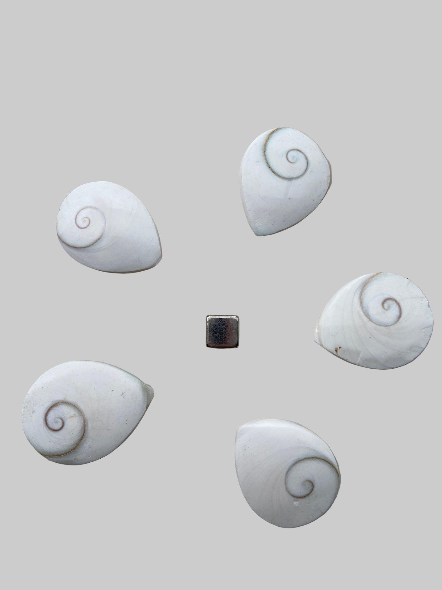 Shivas Øje figur med naturlig spiralstruktur og stærk symbolik.