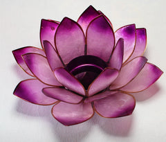 Lotus stage - Pineal chakra