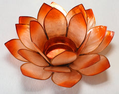 Lotus stage - Hara chakra