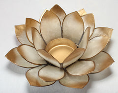 Lotus stage - Kronechakra