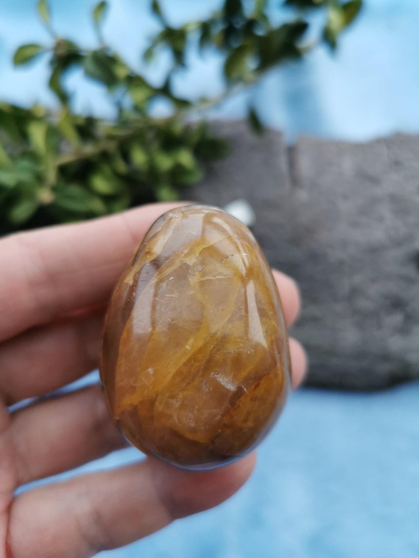 Golden Healer Æg