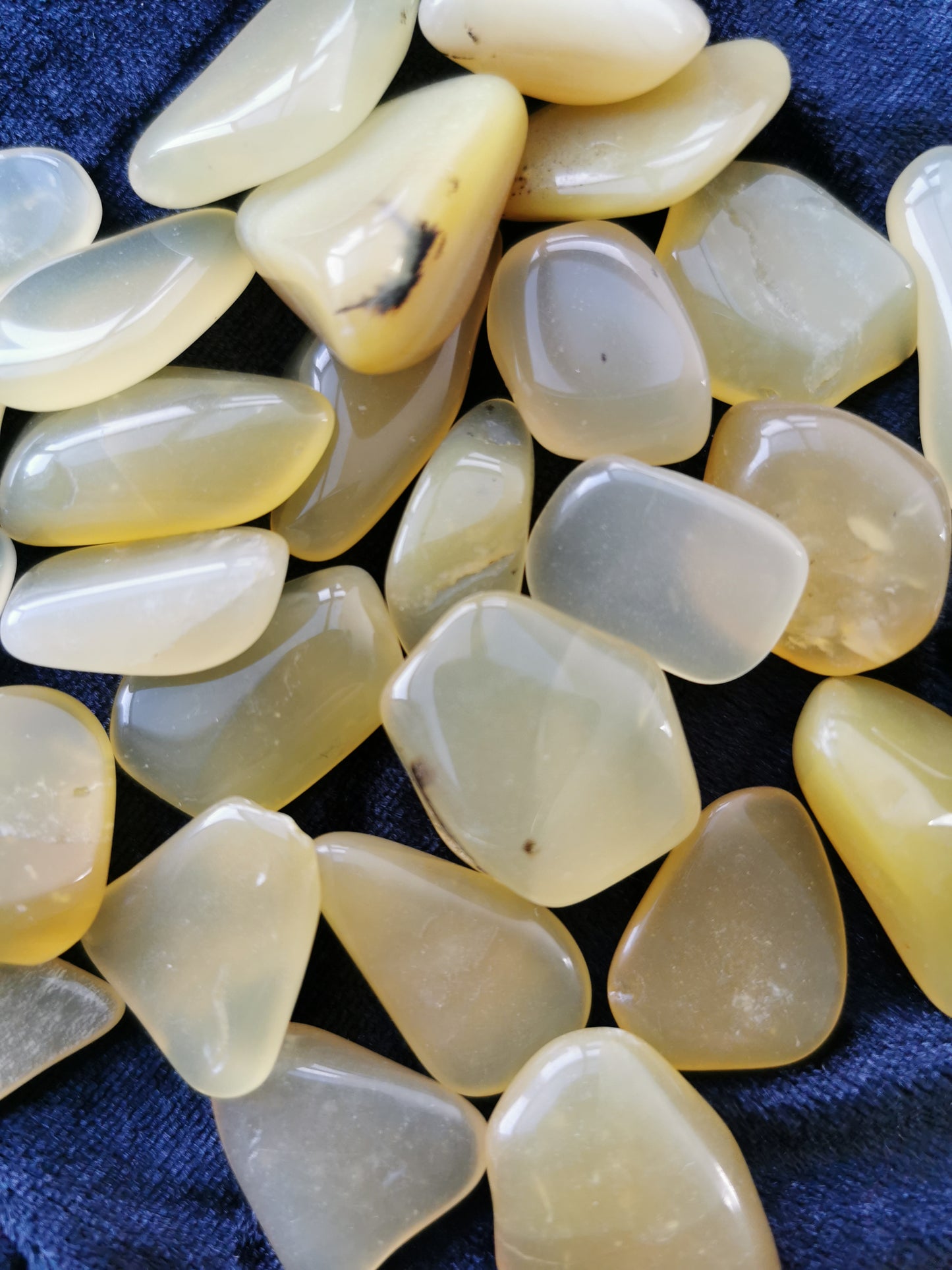 Opal Gul