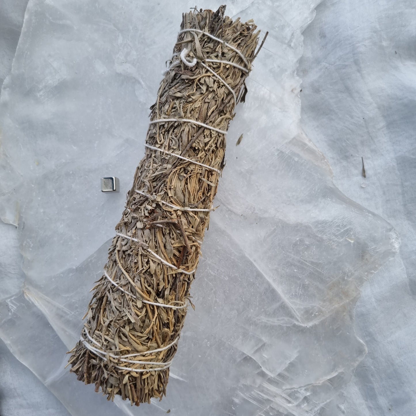 Salvie blue dakota Smudge Stick - stor