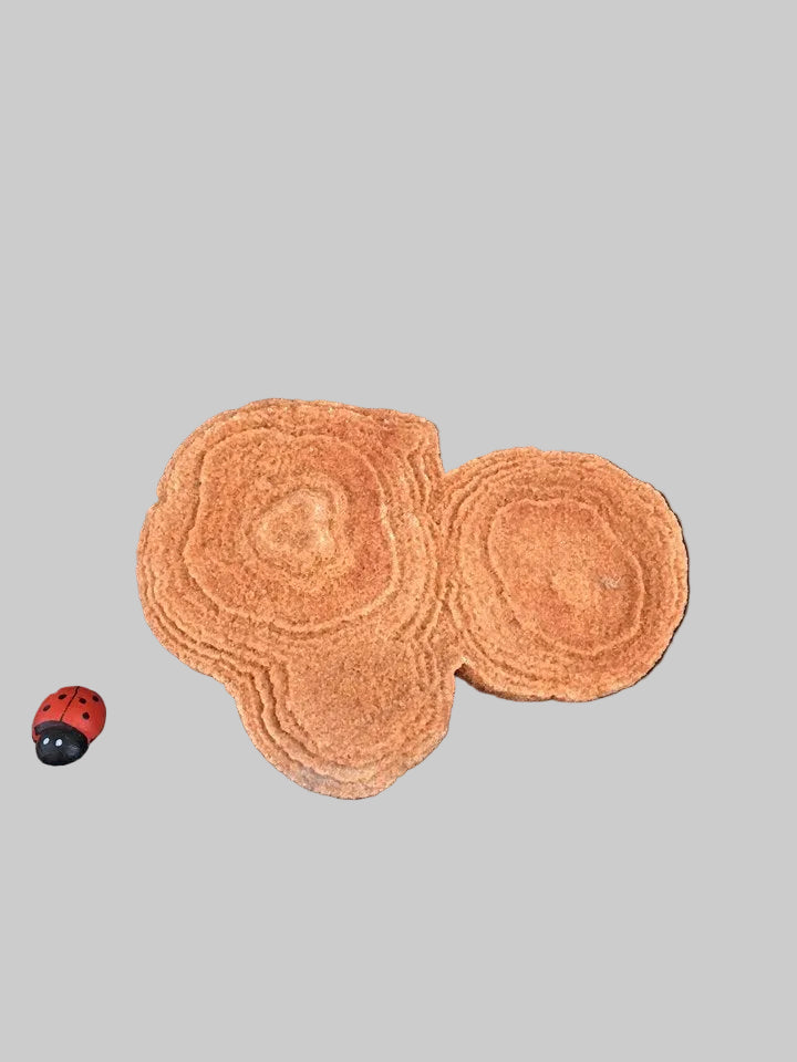 Baryt Rose - tilbud!