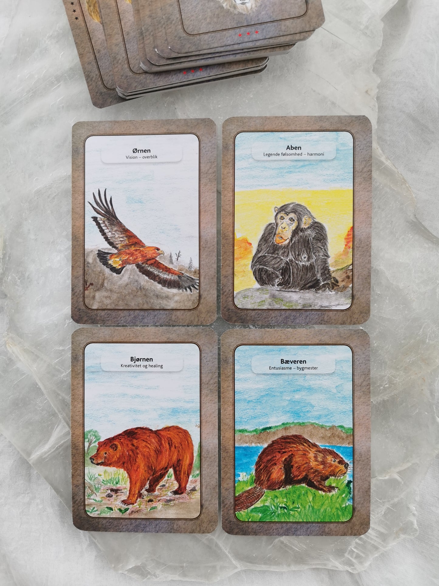 'Tromborgs Dyrekort' - Johnny Tromborg (m/ beskrivelsesbog)