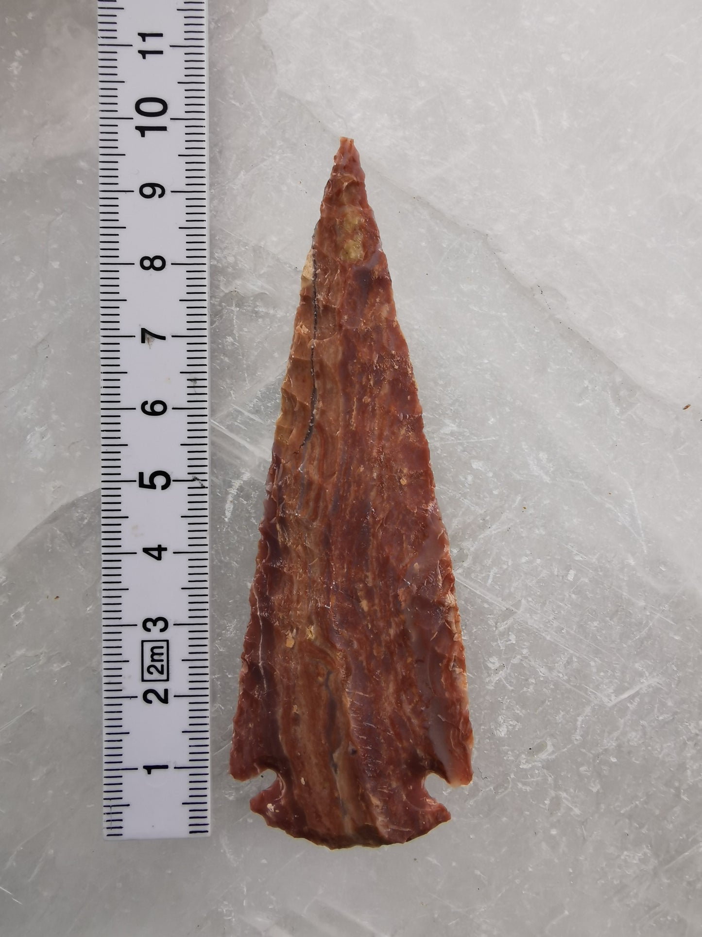 Pilespids