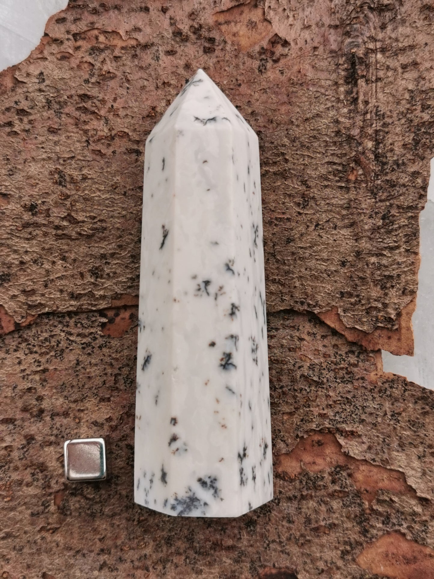 Opal Dendrit spids