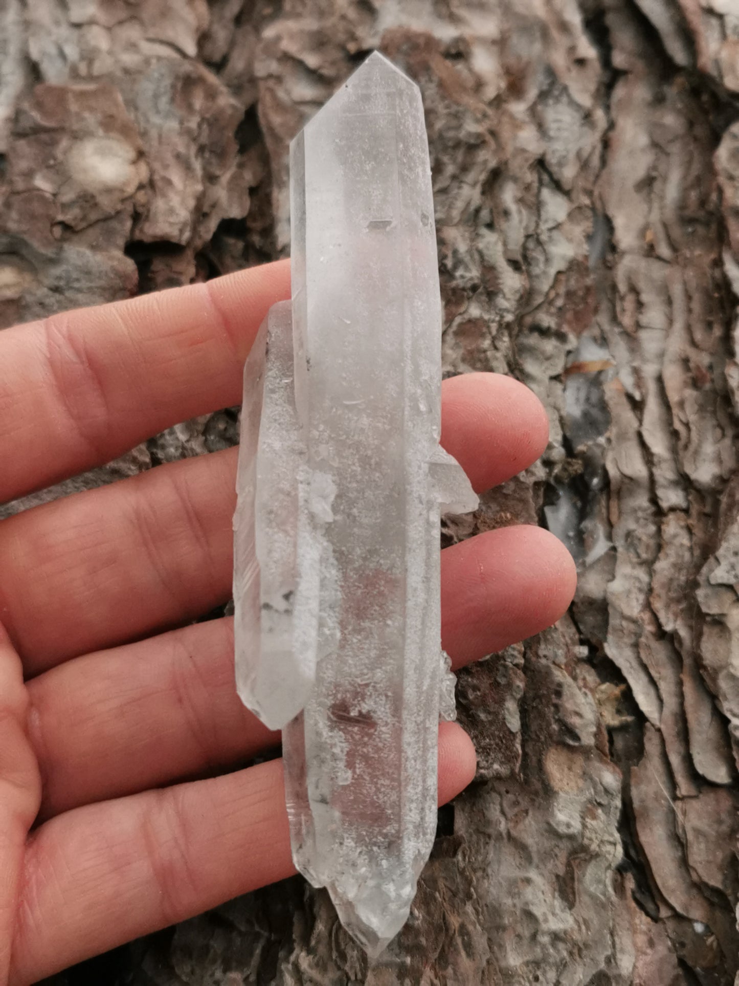 Herkimer Dobbelttermineret