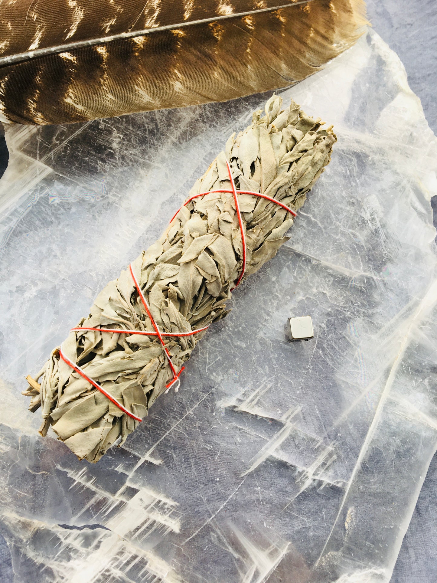 Hvid Salvie Smudge Stick - stor