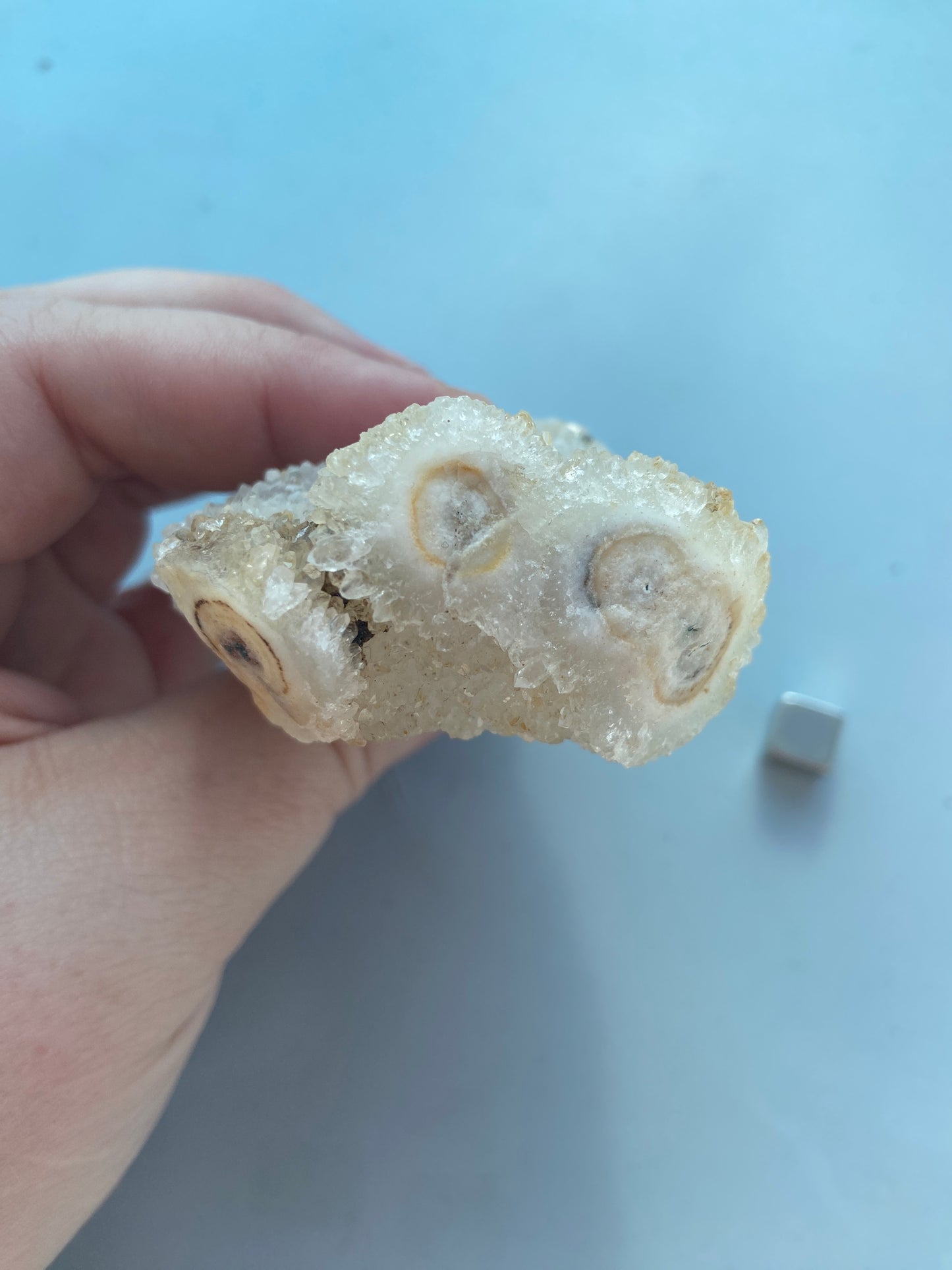 Kaktus Spirit kvarts