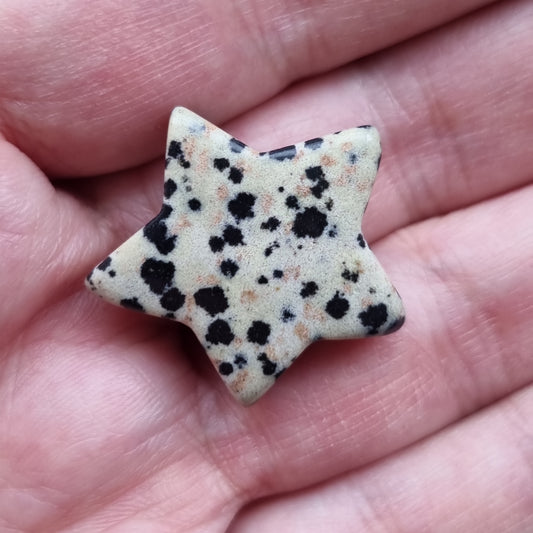 Dalmatiner stjerne