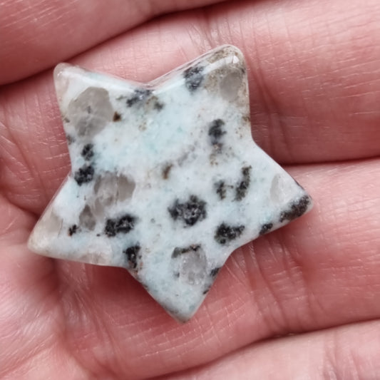 Jaspis kiwi stjerne