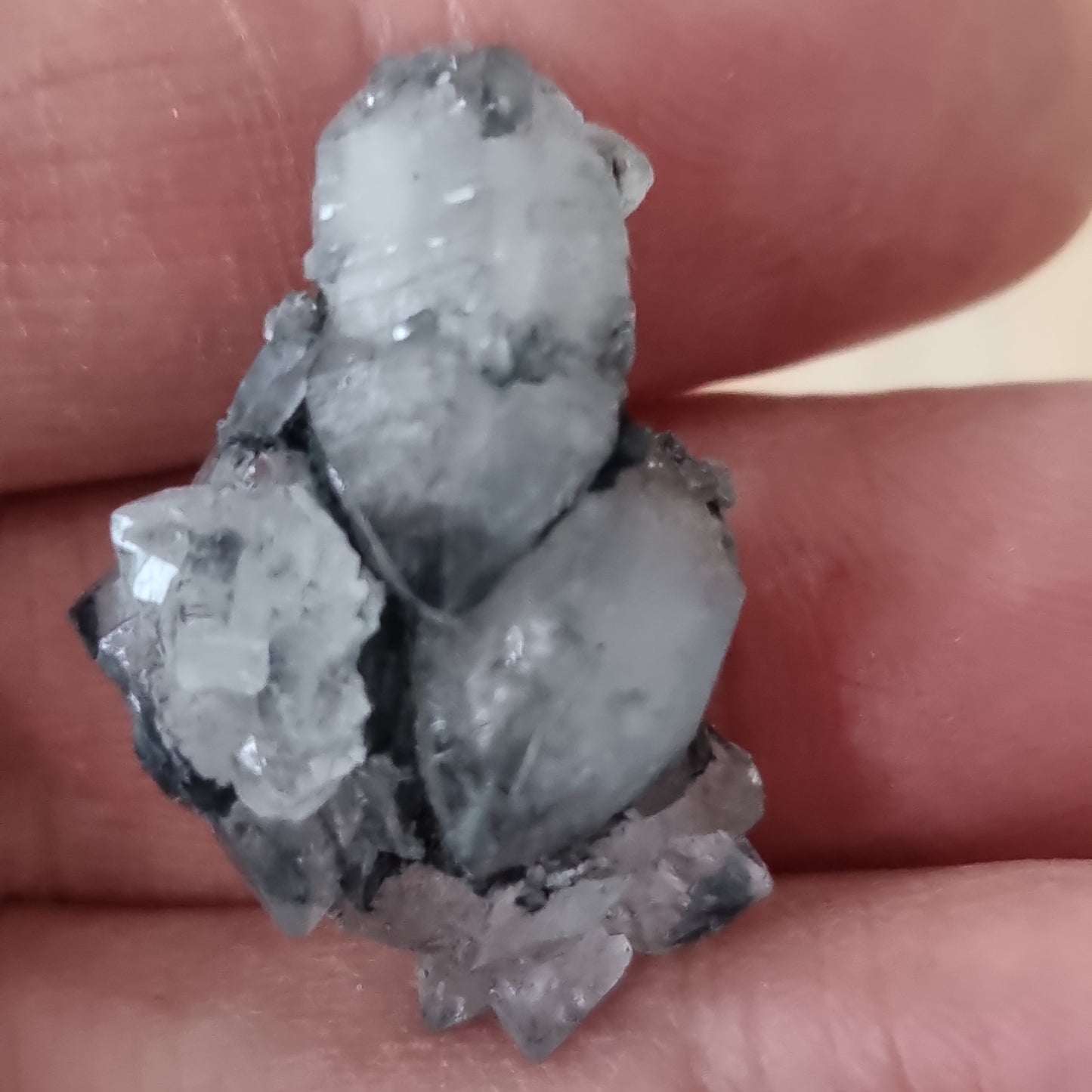 Herkimer Rumænsk dobbelttermineret