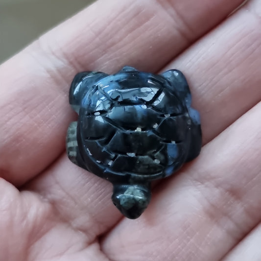 Llanoit skildpadde