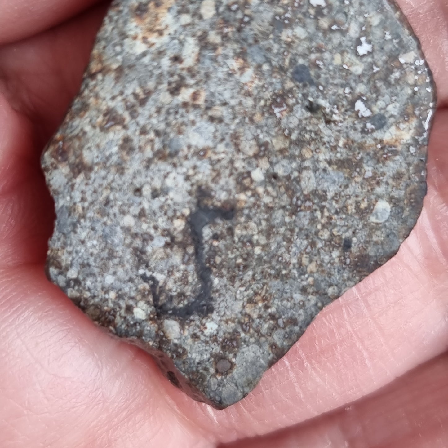Meteorit Vedhæng