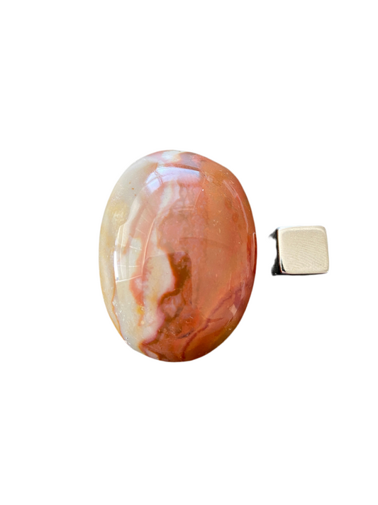 Jaspis Polycrome