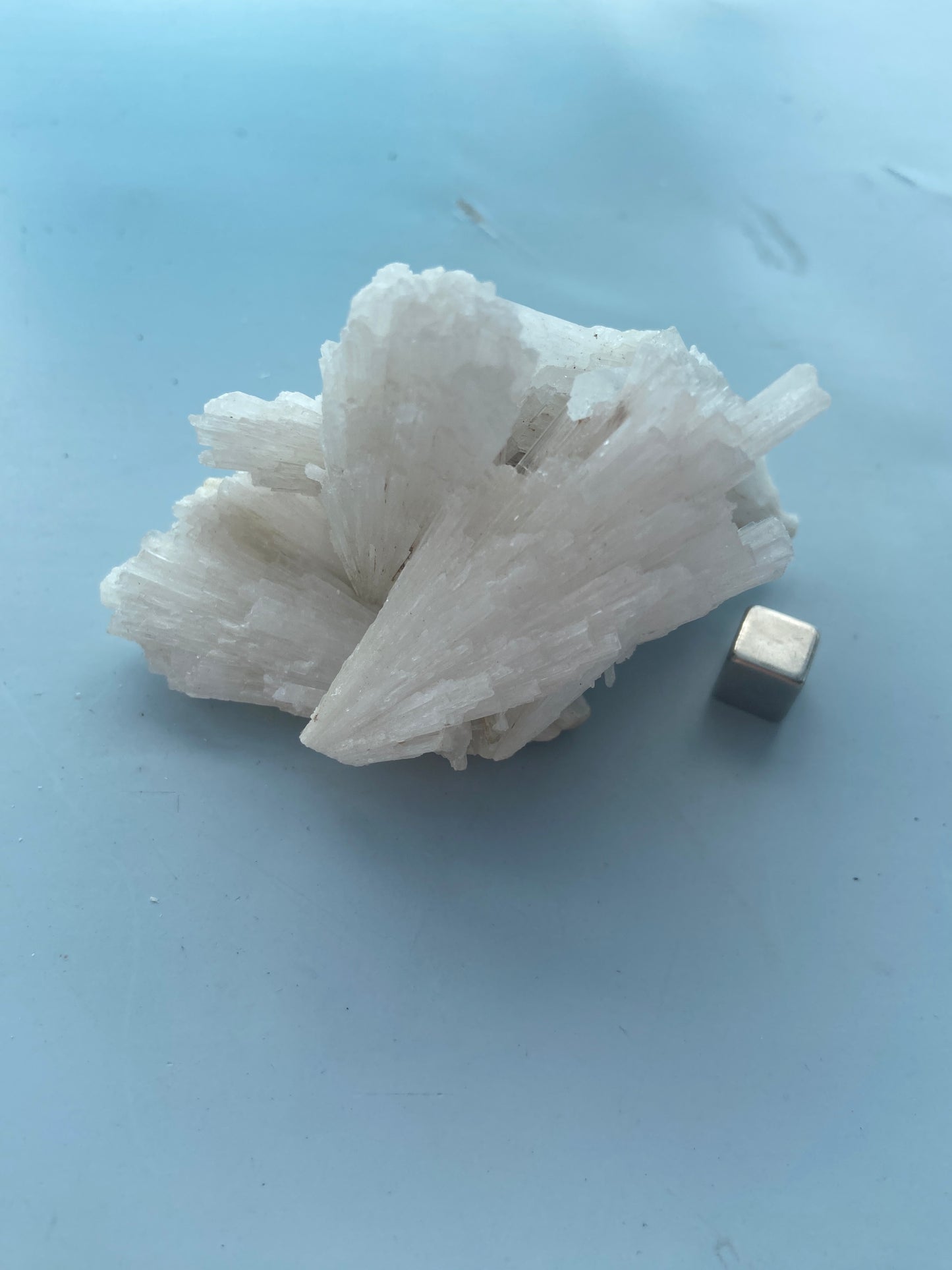 Skolezit