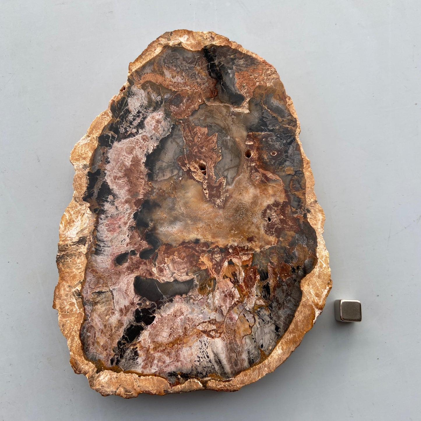 Forstenet Træ plade