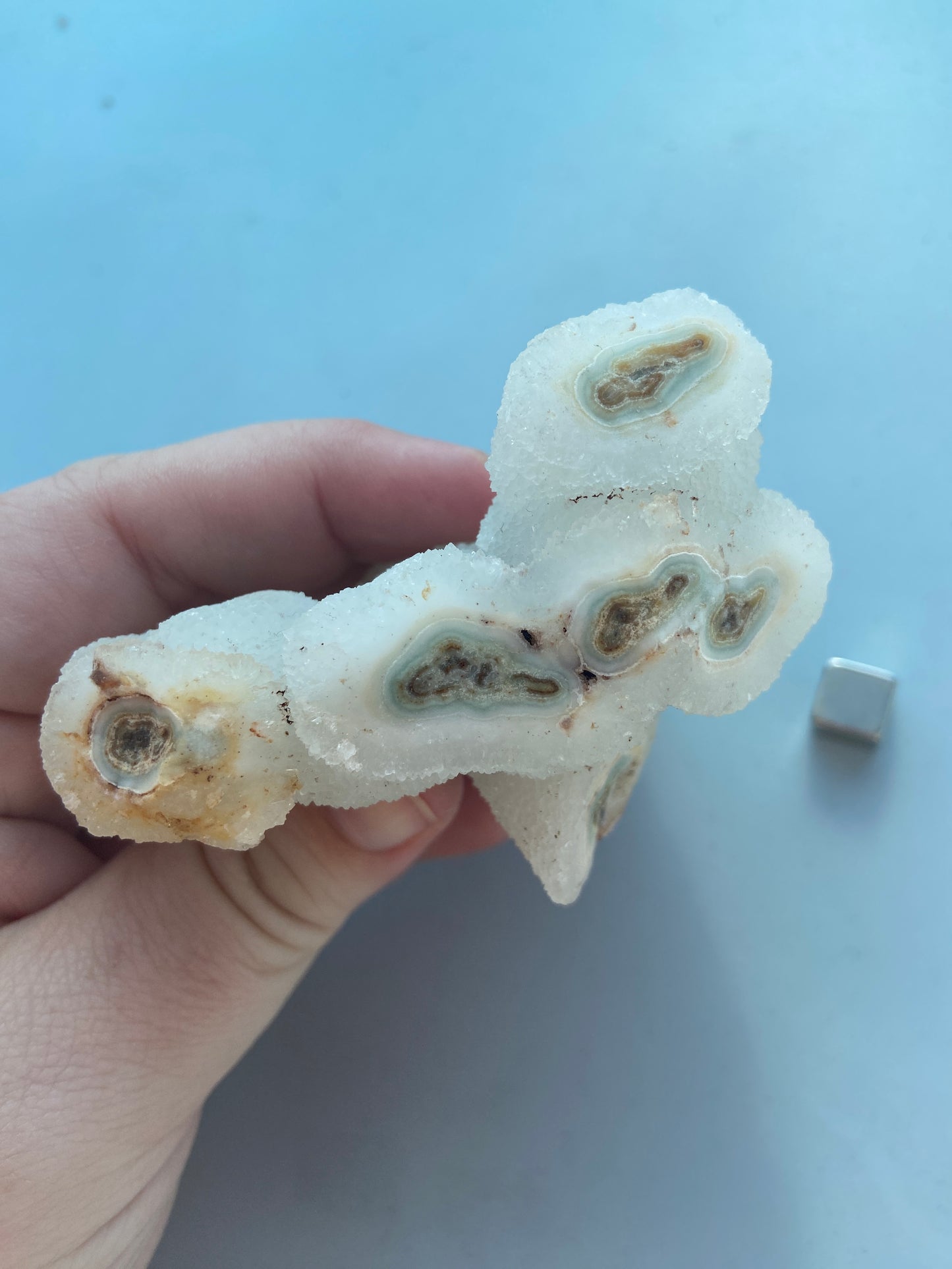 Kaktus Spirit kvarts