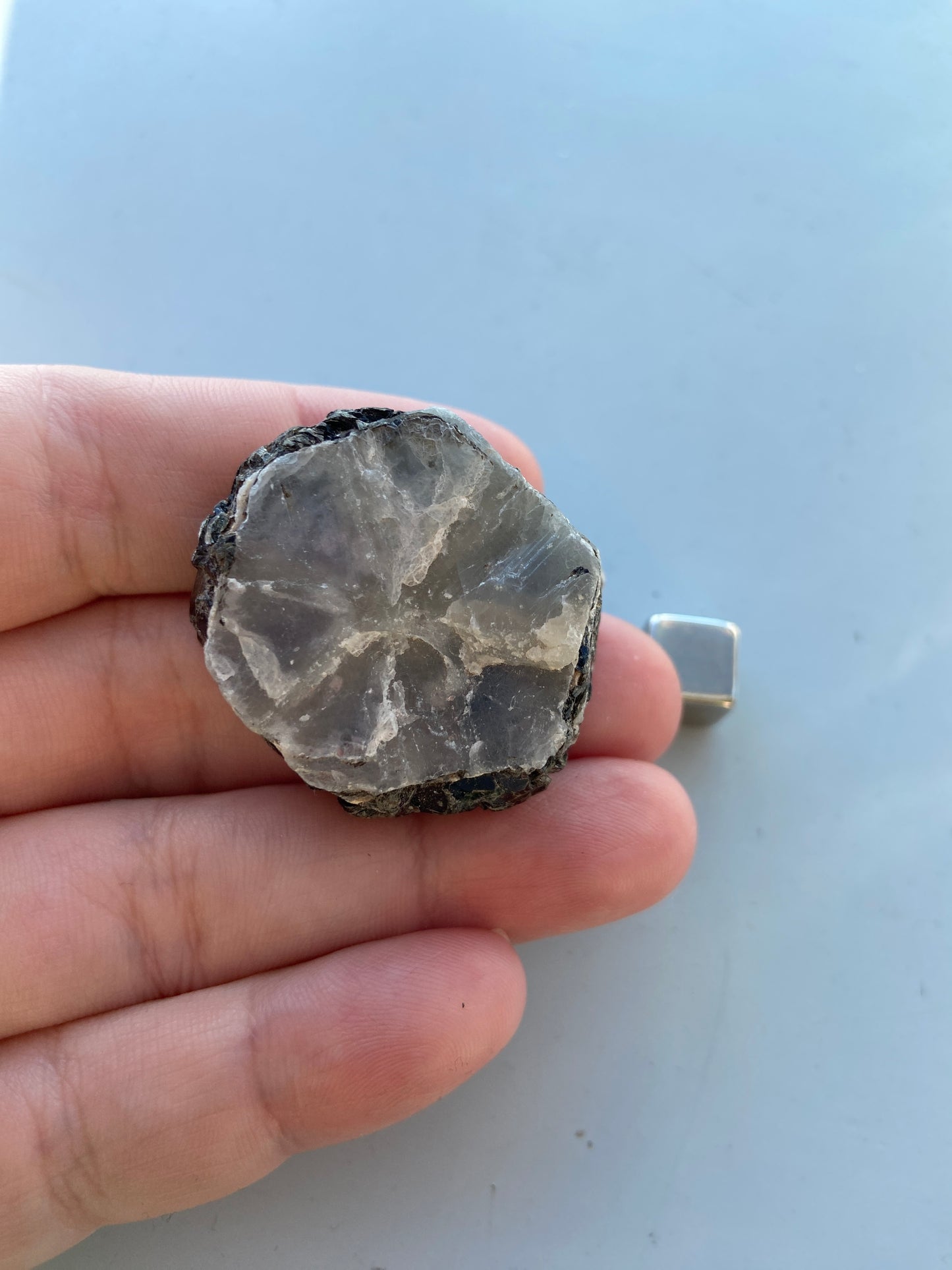 Safir m/Mica rå