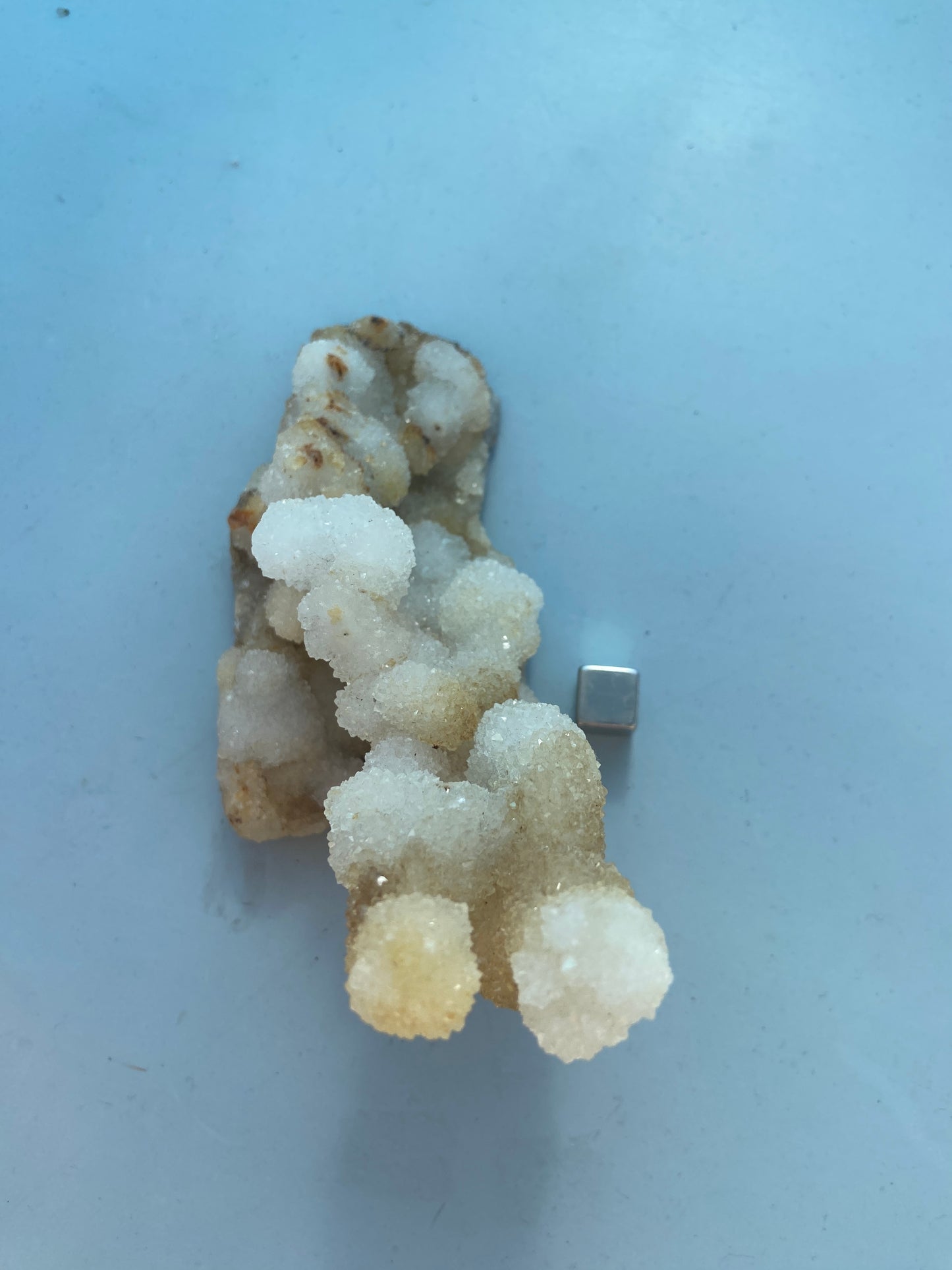 Kaktus Spirit kvarts