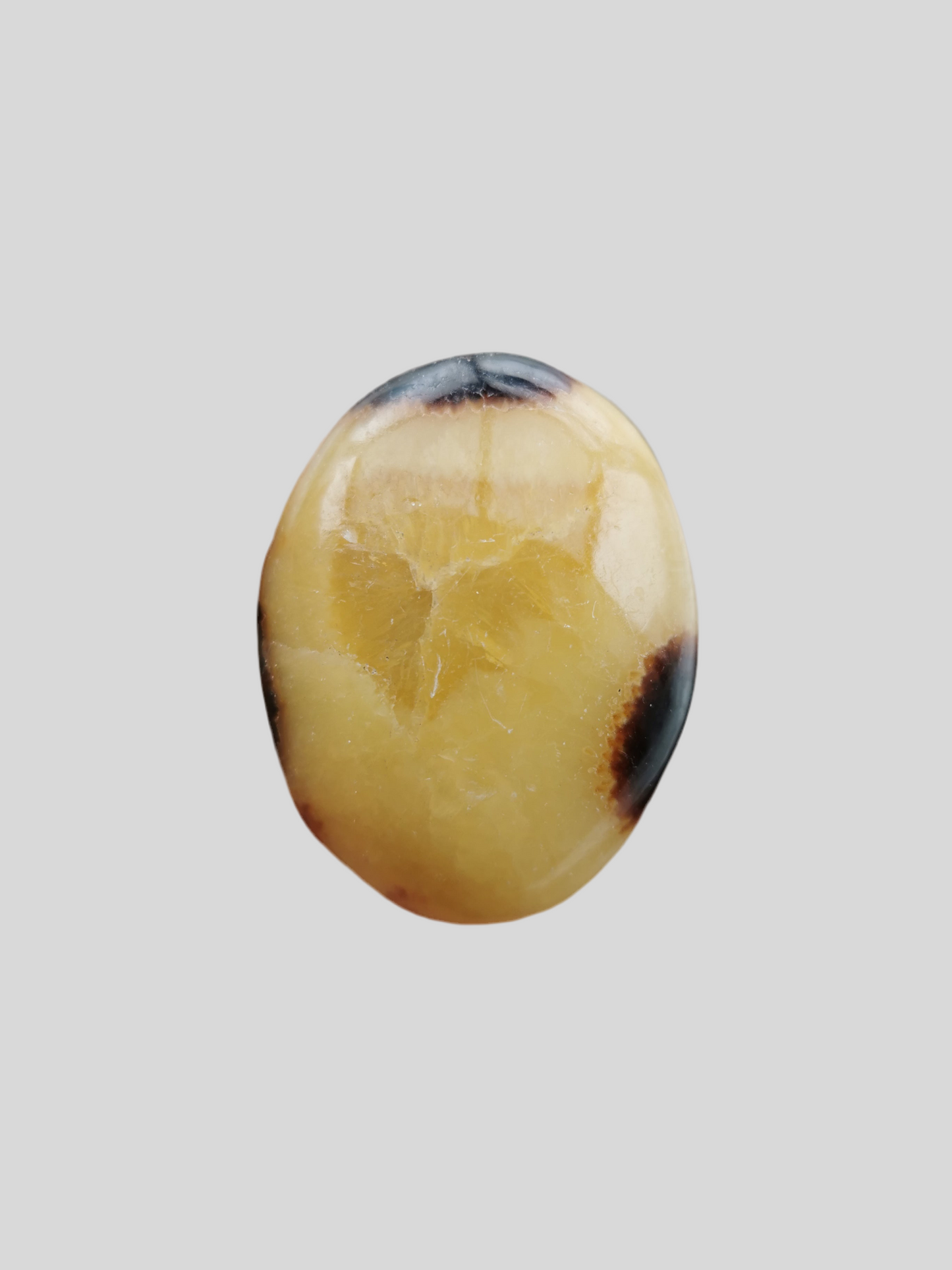 Septarie Jumbosten