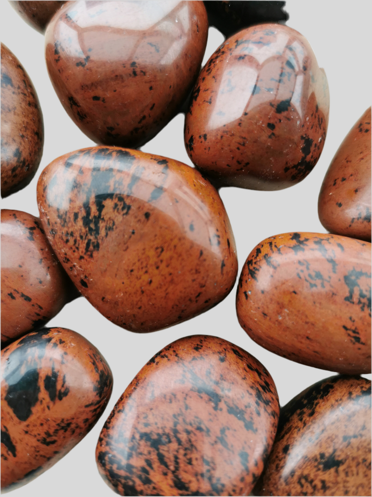 Obsidian Mahogni