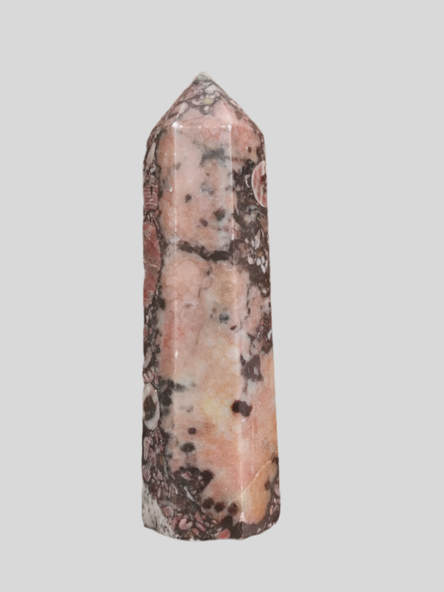 Chrinoid Fossil spids