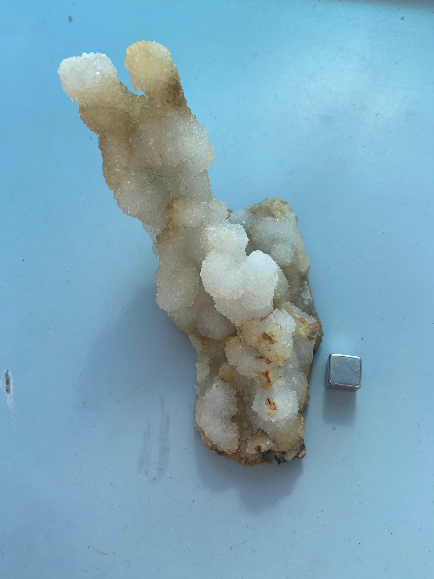 Kaktus Spirit kvarts