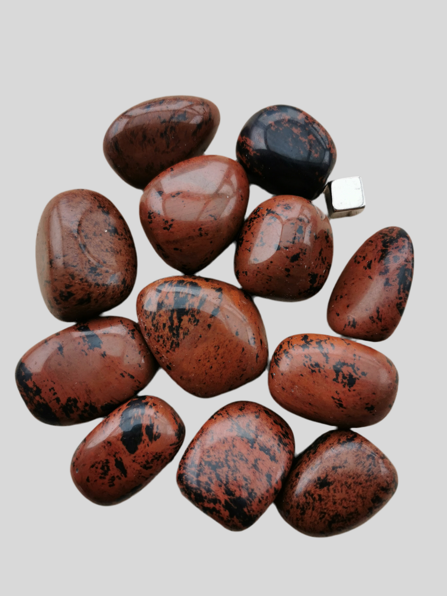 Obsidian Mahogni