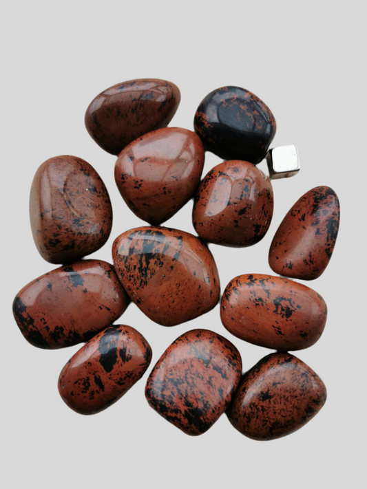 Obsidian Mahogni