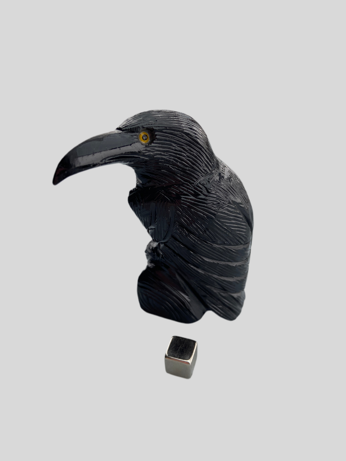 Onyx Sort Ravn - 8 cm (stor)